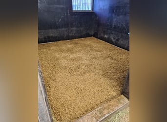 Regionalne pelety słomiane do ściółkowania, pelety słomiane, kostki słomiane, pelety Premo, pelety s