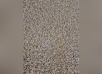 Granulat ze słomy ściółkowy - pellet ze słomy PRODUCENT