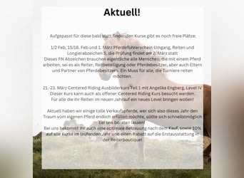 Centered Riding Ausbilderkurs mit Angelika Engberg + Pferdeführerschein/Longierabzeichen