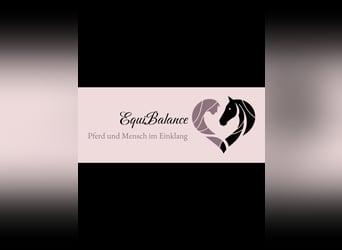 EquiBalance – Harmonia między koniem a człowiekiem