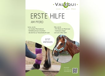 Erste Hilfe am Pferd - Workshop bei dir am Stall