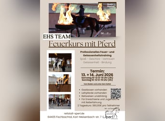 "Fire Equitation" Kurs z ogniem z koniem