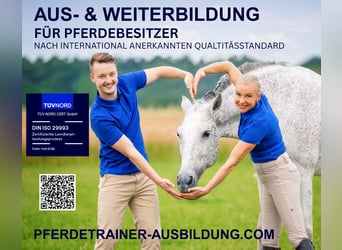 ISO-zertifizierte Pferdetrainerausbildung – Pferdetrainerin werden auf höchsten Niveau