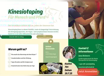 Kinesiotapingkurs für Mensch und Pferd 