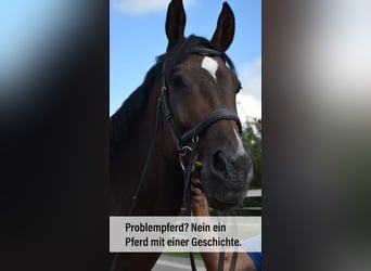 Korekta koni i identyfikacja przyczyn