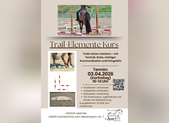 Kurs z elementami trail dla każdego