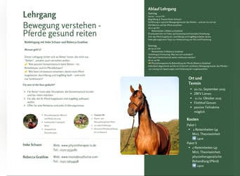 Reitlehrgang Biomechanik von Reiter und Pferd - Pferde gesund reiten 