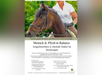 Seminar für Reiter und Pferd in der Turniervorbereitung