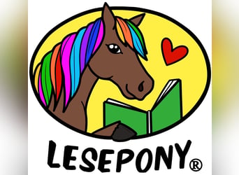 Szkolenie z zakresu Pony-Motion® Pedagogiki Jeździeckiej