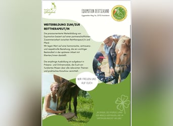 Weiterbildung Pferdegestützte Intervention / Reittherapeut:IN