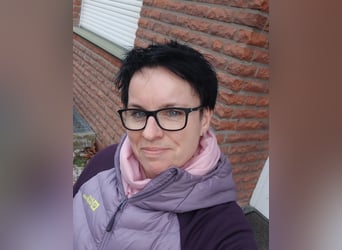 Lekcje jazdy konnej na miejscu