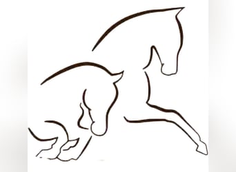 Mobiler Beritt und Reitunterricht 
