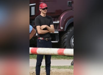 Profesjonalna nauka jazdy konnej