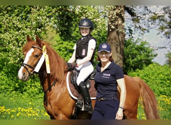 Reitunterricht für Erwachsen, Kinder und Jugendliche