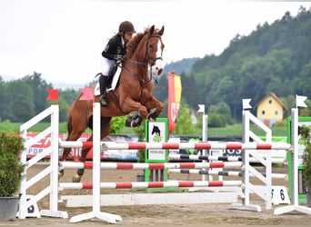 Beritt/Unterricht