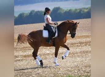 Miejsce szkoleniowe w rodzinnym otoczeniu