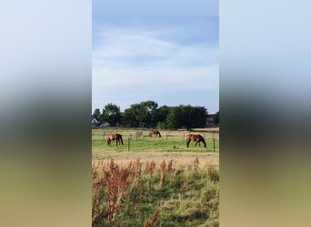 Ośrodek szkoleniowy na południe od Hamburga/Seevetal