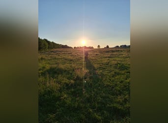 Ośrodek szkoleniowy na południe od Hamburga/Seevetal