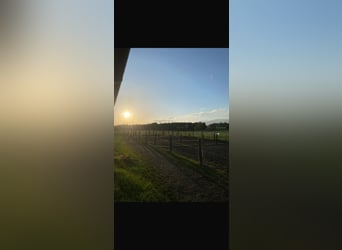 Posiadamy wolne miejsce na jazdę szkoleniową!