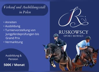 Ruskowscy Sport Horses