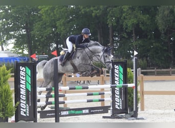 ⚜️ Wolne miejsca na jazdę szkoleniową ⚜️