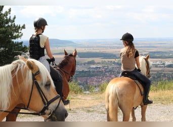 Kurs jazdy terenowej dla początkujących 29/30.03 oraz 26/27.04.2025