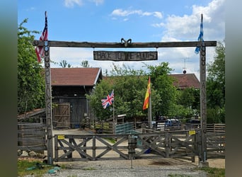 Urlaub mit Deinem eigenen Pferd