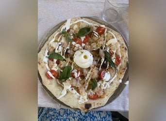 Wakacje jeździeckie w pięknej Italii🐴🇮🇹