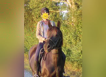 Reiterferien für Mädchen ab 10. Unsere Termine für 2026 sind online, wir freuen uns auf euch. 