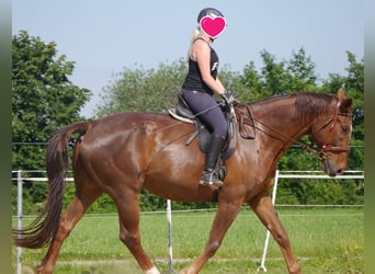 Reiterferien für Mädchen ab 10. Unsere Termine für 2026 sind online, wir freuen uns auf euch. 