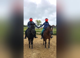 Reiterferien für Mädchen ab 10. Unsere Termine für 2026 sind online, wir freuen uns auf euch. 