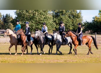 Reiterurlaub im schönen Fläming