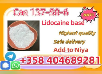 Manufacturer Supply Raw Material CAS 137-58-6 Lidocaine