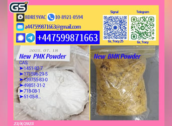 CAS 5449-12-7 28578-16-7 B M K P M K Superior Grade 49851-31-2 Chemical Products
