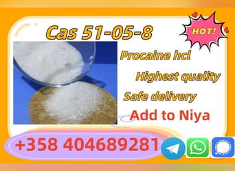  Procaine Base Cas 59-46-1 Procaine Hcl Cas 51-05-8 China Factory Direct Sale