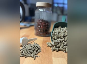 Dojazd do terenu rekreacyjnego bezpośrednio nad Morzem Północnym