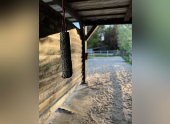 Dojazd do terenu rekreacyjnego bezpośrednio nad Morzem Północnym