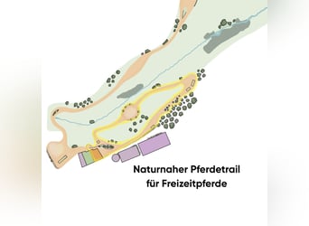☀️ Gesunde Pferdehaltung im naturnahen Paddocktrail – Wohlfühlstall für Freizeitpferde