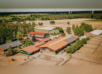 Boxen (-trakt) auf Top Sportanlage zu vermieten