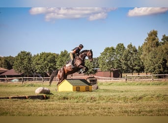 Einzelboxen oder Boxentrakt (ab 1.1.2026) auf ***Top Reitsportanlage ***