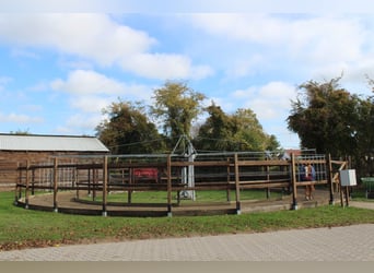 Wolne boksy i boksy z wybiegiem