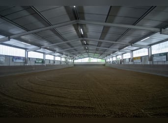 Wolne boksy!