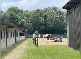 Wolne boksy