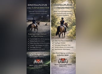 Wolne boksy od 1 kwietnia z powodu zmiany jeźdźca.