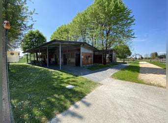 Wolne miejsce w prestiżowym ośrodku sportowym