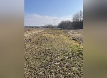 Grünland für Selbstversorger frei