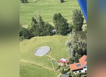 Aufzuchtsplatz für einen Henstjährling ab April/2026 