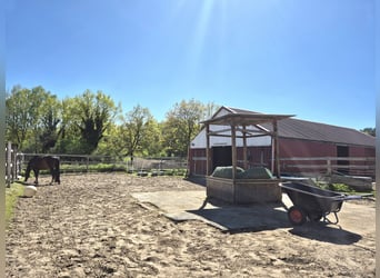 Biete Paddock / Offenstall Einstellplatz