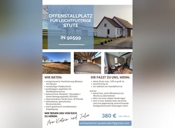 Miejsce w wolnym boksie dla lekkostrawnej klaczy (koń mały!)