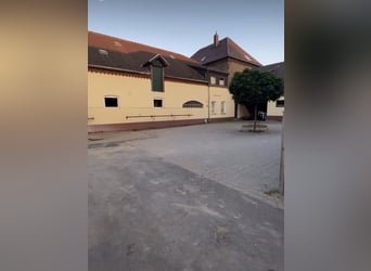 Miejsce w wolnym boksie z dodatkową boksową przestrzenią